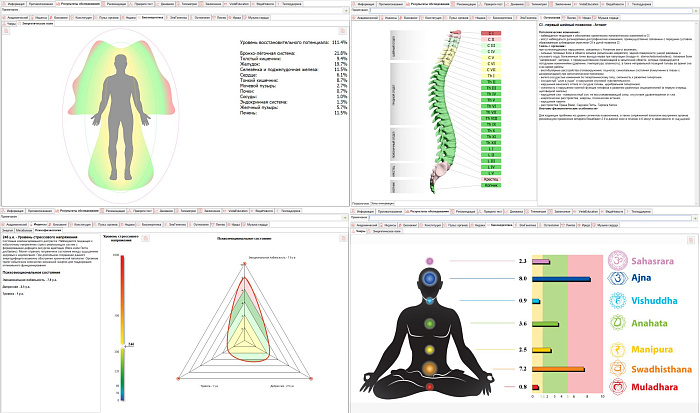 Пульсовая диагностика VedaPulse